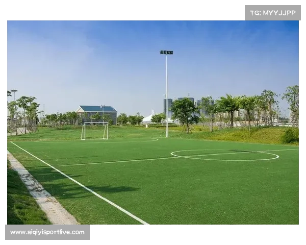 布雷斯特主场草坪维护：冬季特殊养护保障比赛质量